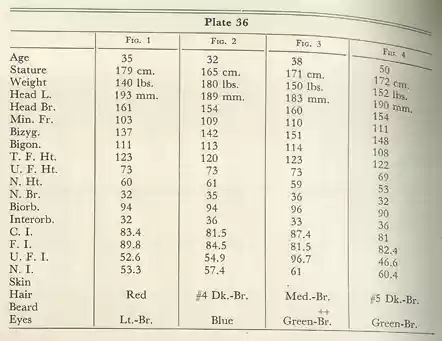 Plate 36